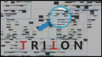 How Triton can help to reverse virtual machine based software protections