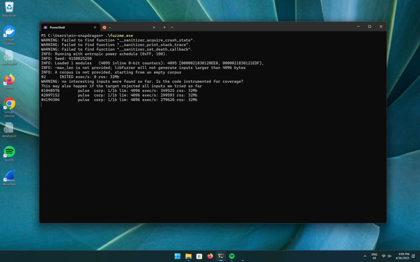 Fuzzing without feedback